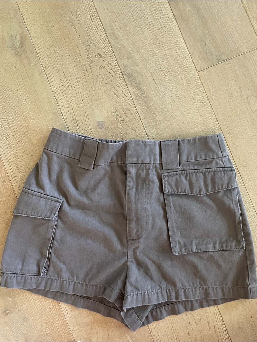 Aritzia Cargo Shorts in Gray